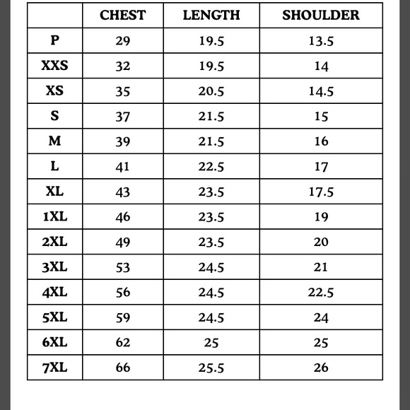 Big Bud Press Sage Green Fisherman Polo - Picture 4 of 4